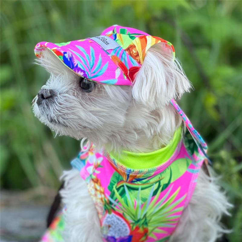 The Best Cooling Dog Shirt for Sun Protection and Summer Adventures