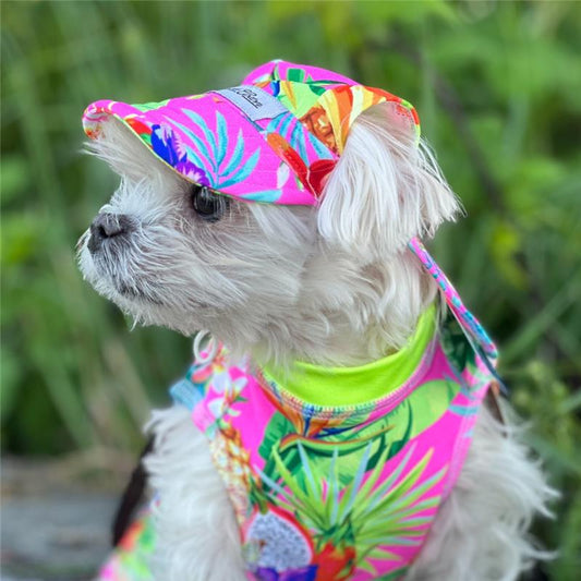 The Best Cooling Dog Shirt for Sun Protection and Summer Adventures