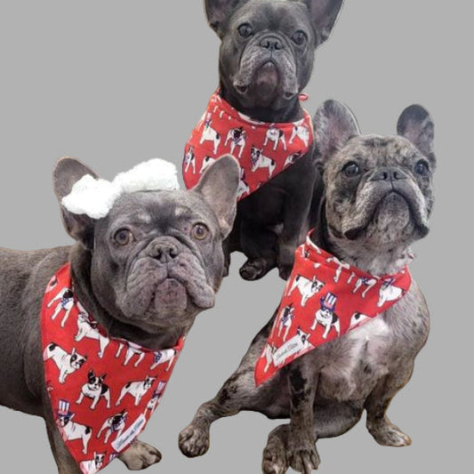 Pooch Pop Art – Frenchie Dog Bandana