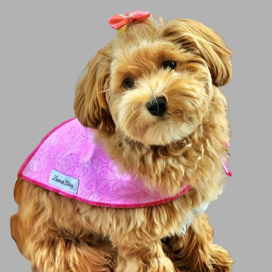 Critter Chic – Pink Heart Bandana