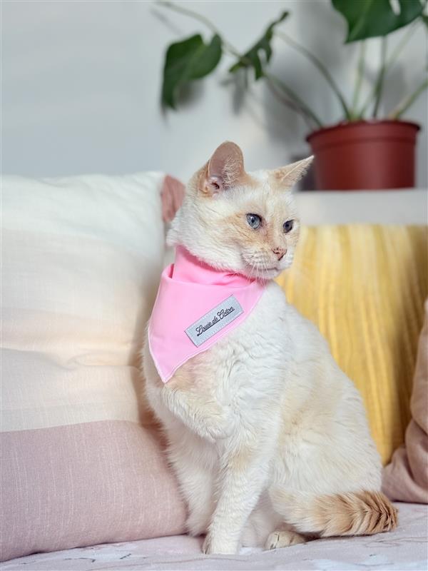 Cat Pink Bandana