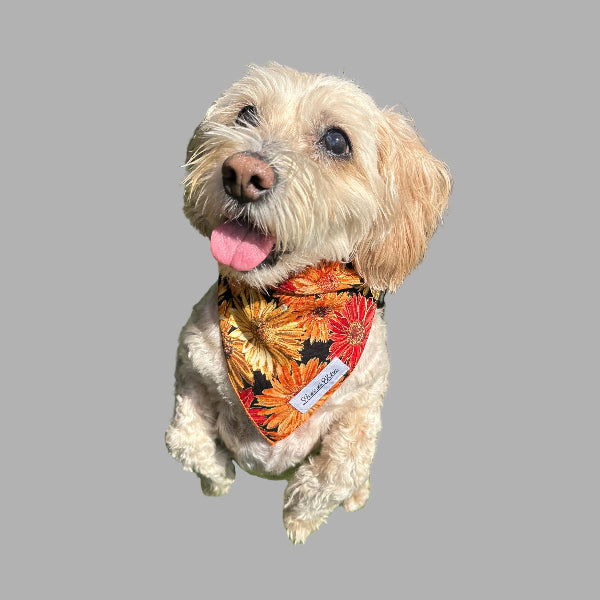 Halloween Bandana – Spooky Blooms