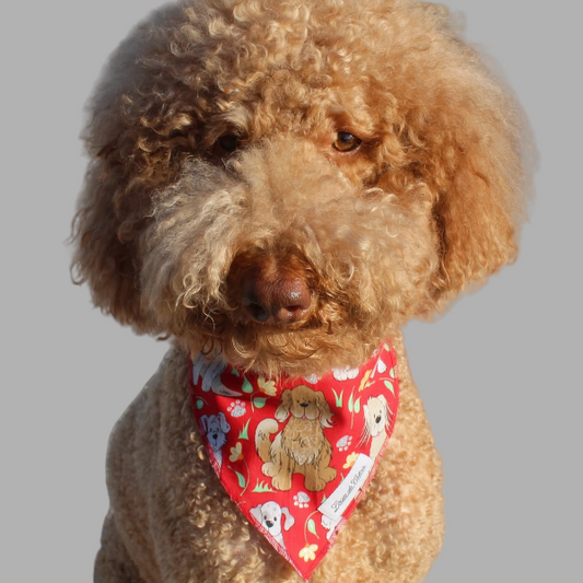 Pooch Pop Art – Dog Cartoon Bandana