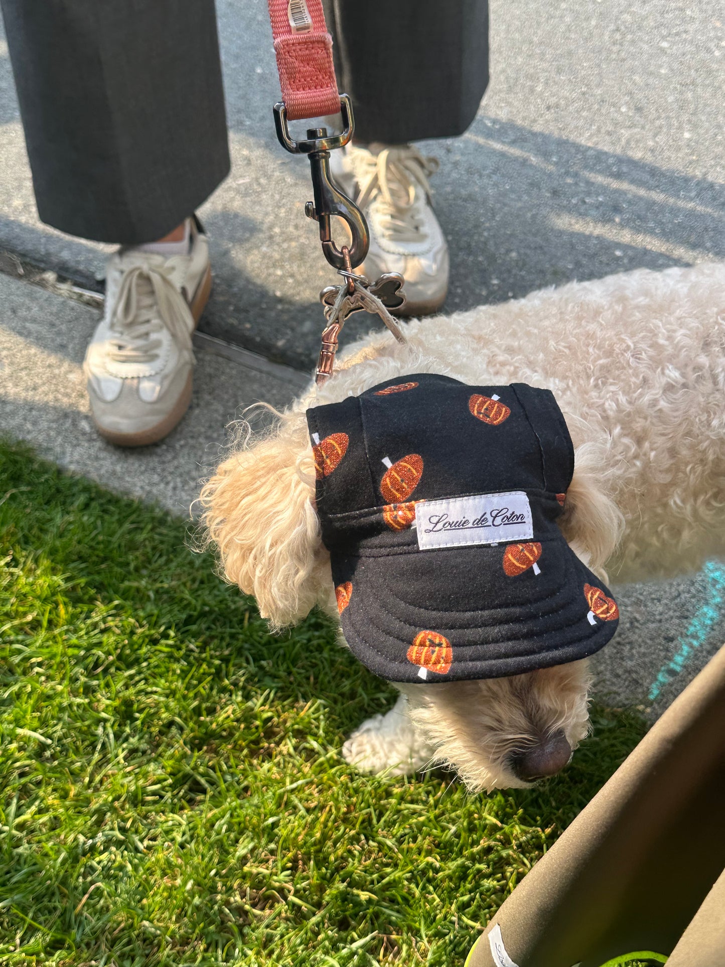 Halloween Hat – Midnight Pumpkins