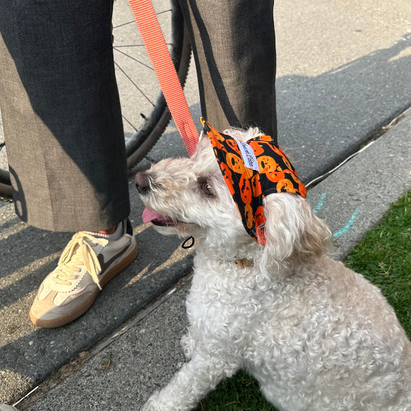 Halloween Hat – Pumpkin Patch