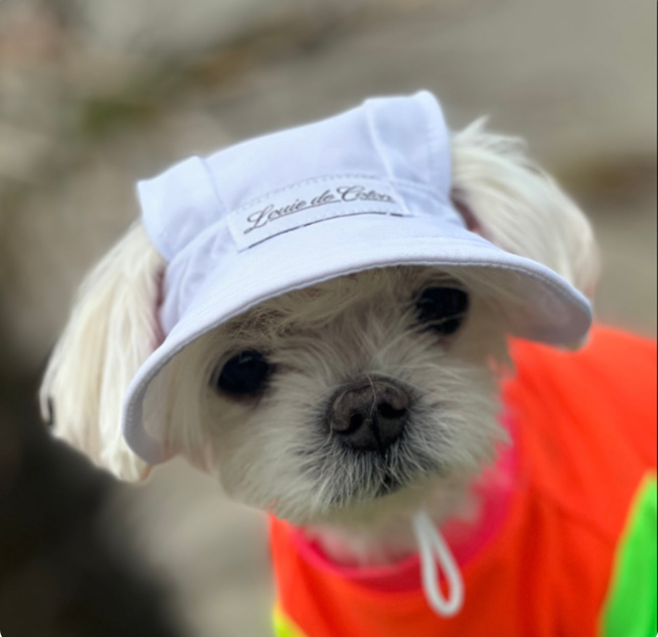 Cooling Dog with UPF50+ Full Brim Hat - Perfect White
