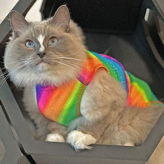 Cats - Cooling Sun Shirt with UPF50+ Rainbow