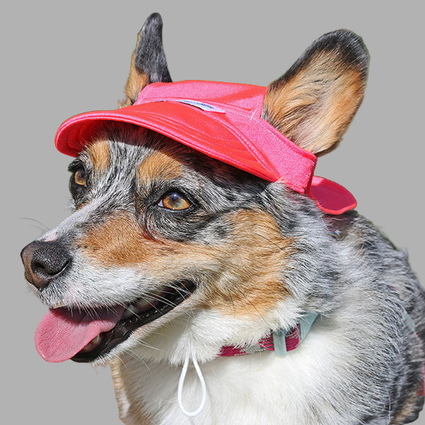 Cooling Hat with UPF50+ For Cats & Dogs - Electric Coral