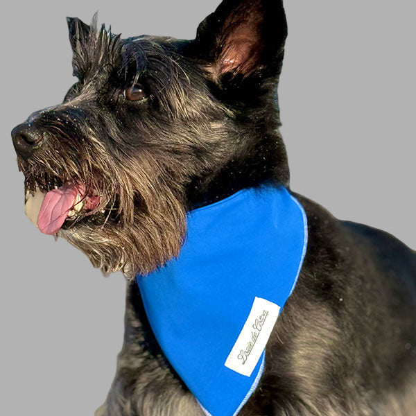 Cooling with UPF50+ Bandana - Royal Blue