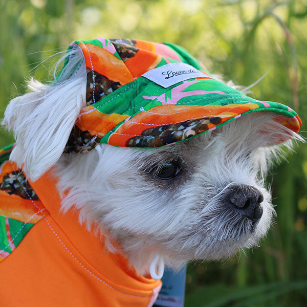 Cooling Dog Hat with UPF50+  Sweet Papaya