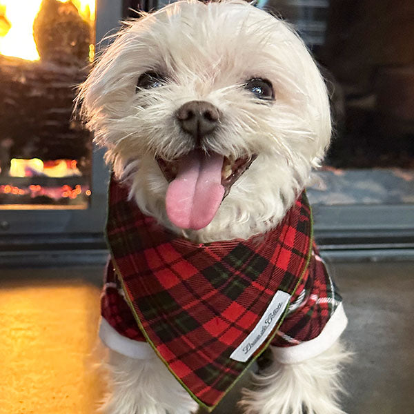 Bandanas - Holiday Plaid