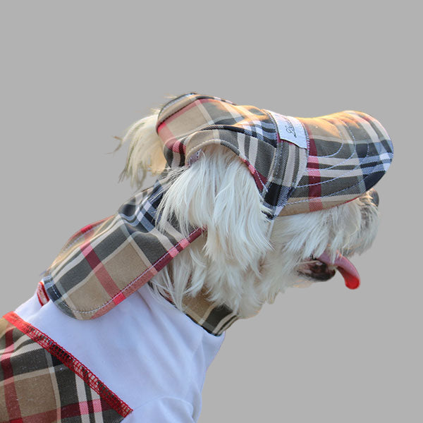 Cooling Dog Hat with UPF50+ Cream Puff