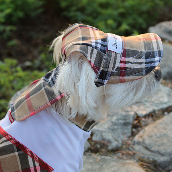 Cooling Dog Hat with UPF50+  Cream Puff