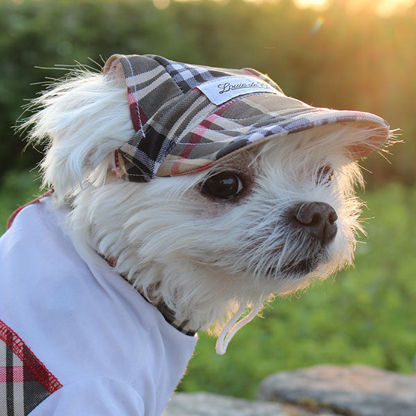 Cooling Dog Hat with UPF50 Cream Puff