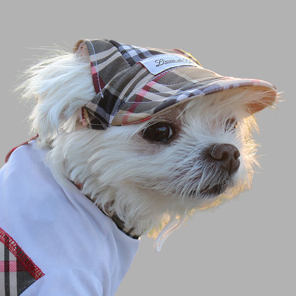 Cooling Dog Hat with UPF50+ Cream Puff