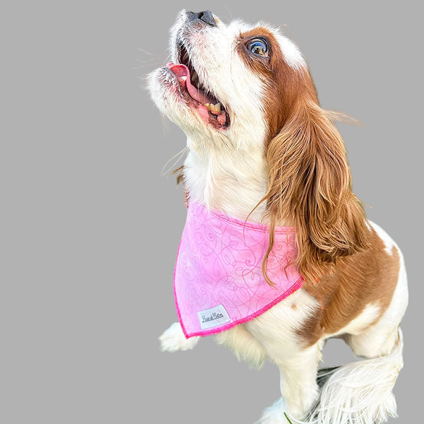 Critter Chic – Pink Heart Bandana