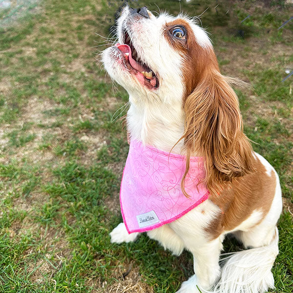 Critter Chic – Pink Heart Bandana
