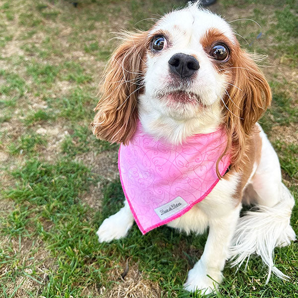 Critter Chic – Pink Heart Bandana