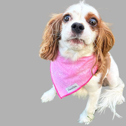 Critter Chic – Pink Heart Bandana