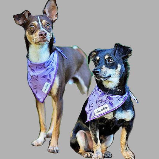 Bloom & Bark – Purple Leaves Bandana