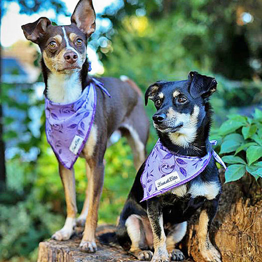 Bloom & Bark – Purple Leaves Bandana