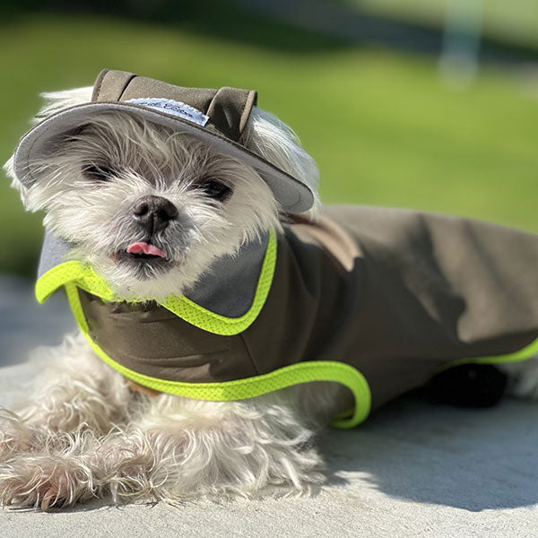 Waterproof Dog Hat -Polartec® NeoShell® - Olive