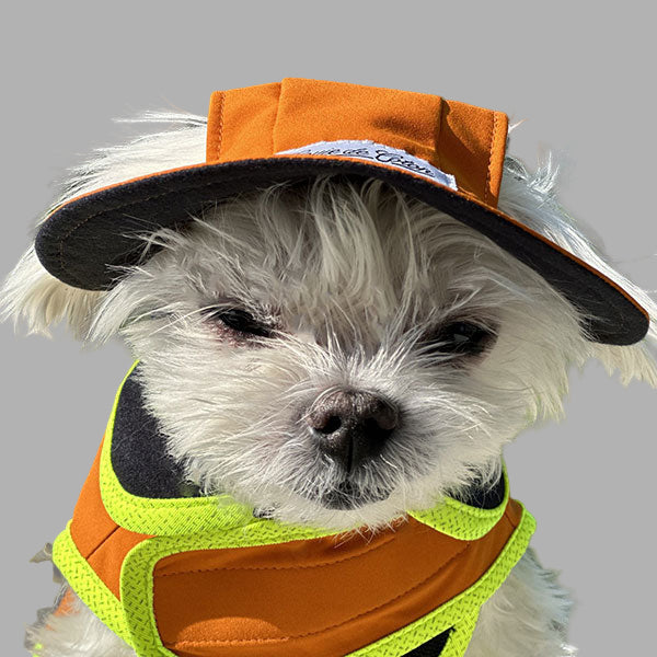 Waterproof Dog Hat - Polartec® NeoShell®- Sunset