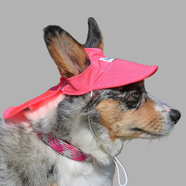 Cooling Hat with UPF50+ For Cats & Dogs - Electric Coral