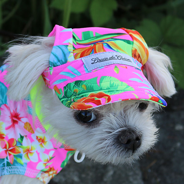 Cooling Dog Hat with UPF50+ Hot Tropic