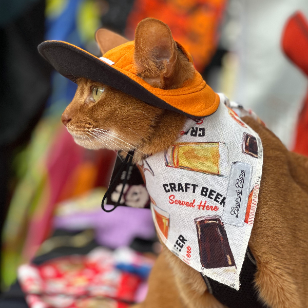 Waterproof Dog Hat - Polartec® NeoShell®- Sunset