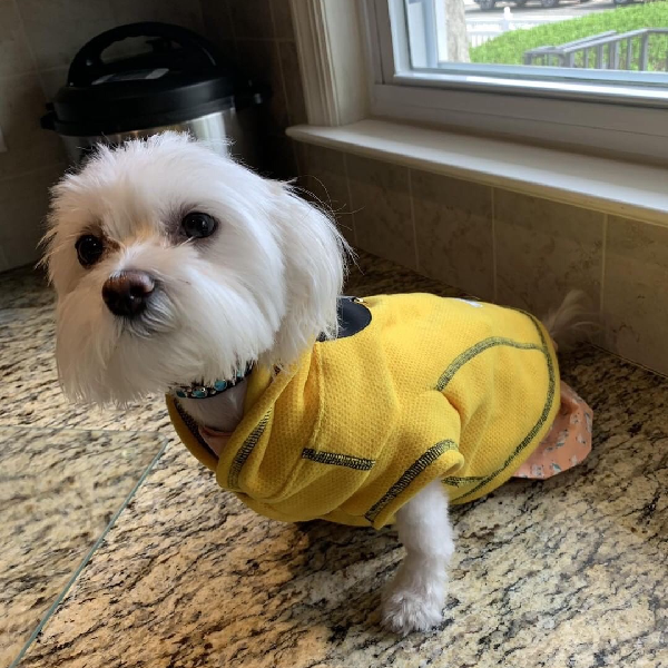 Calming Recycled Fleece Hoodie Jacket - Polartec® Thermal Pro® - Sun Flower