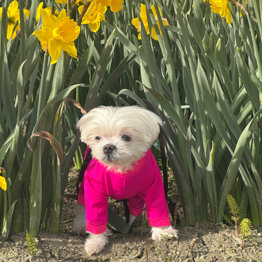 Calming Cooling UPF 50+ Sun Onesie - Orchid