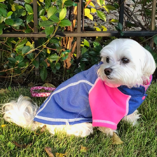 Visible Body Temperature Regulated Fleece Jacket - IllumiNITE -Pink