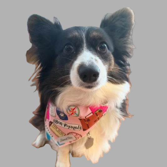 Traveler’s Tale – Bon Voyage Bandana