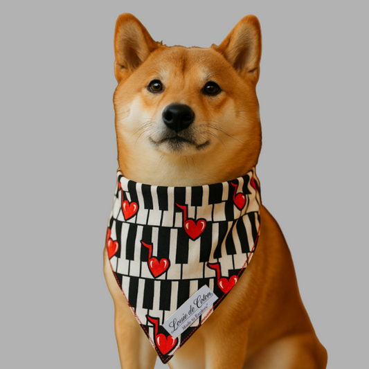 Designer Dream – Love Melody