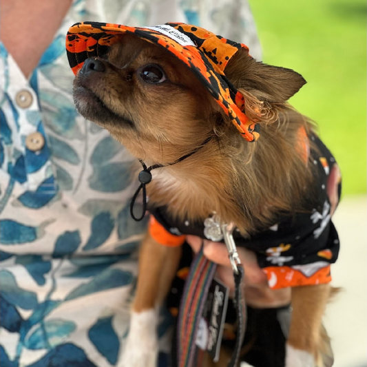 Halloween Hat – Pumpkin Patch