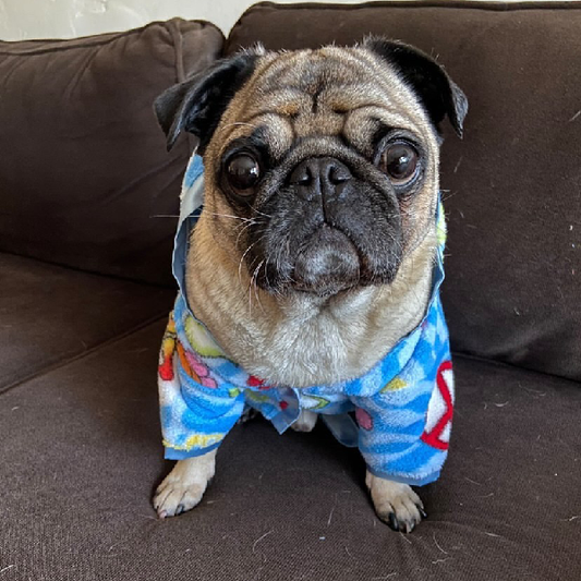 Peace & Love Handmade Ultra Plush Fleece Robe - Blue