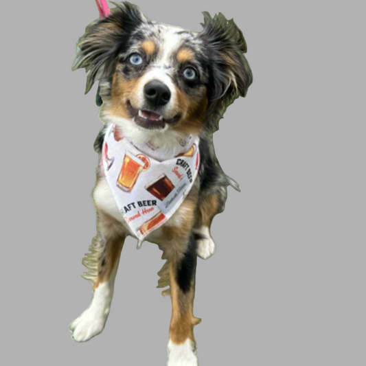 Barkside Brews – Beer Bandana
