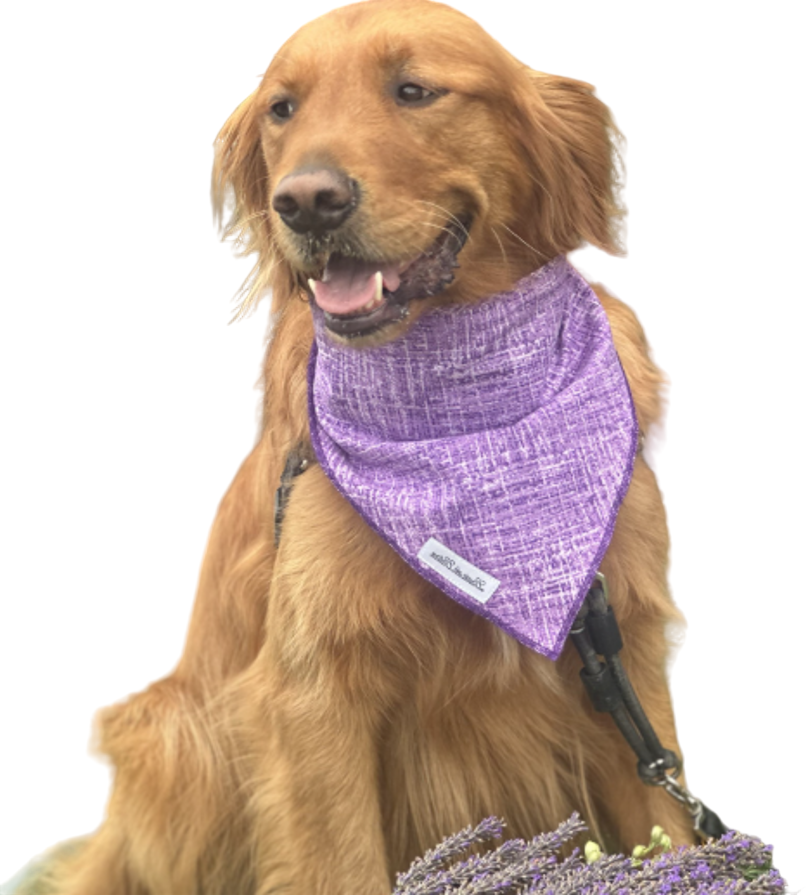 Purple Plaid Dog Cat Bandana