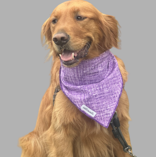Purple Plaid Dog Cat Bandana