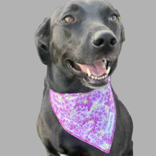 Bloom & Bark – Lilac Bandana