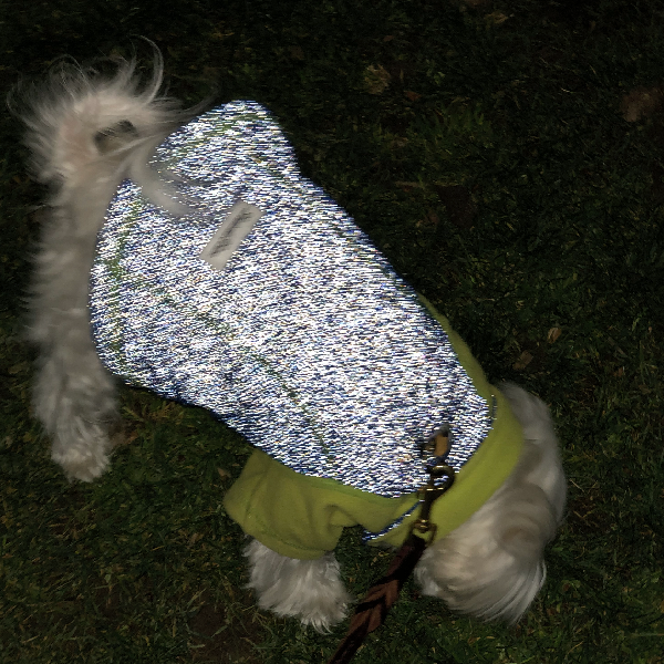 Visible Body Temperature Regulated Fleece Jacket - illumiNITE - Green