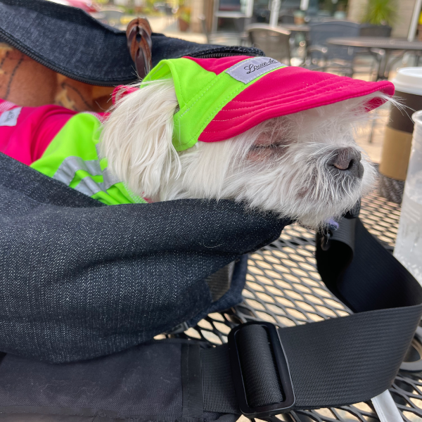 Cooling Dog Hat with UPF50+  - Buble Gum