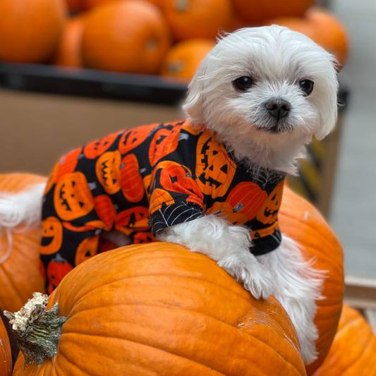 Handmade Halloween Cotton Pajamas - Happy Pumpkins