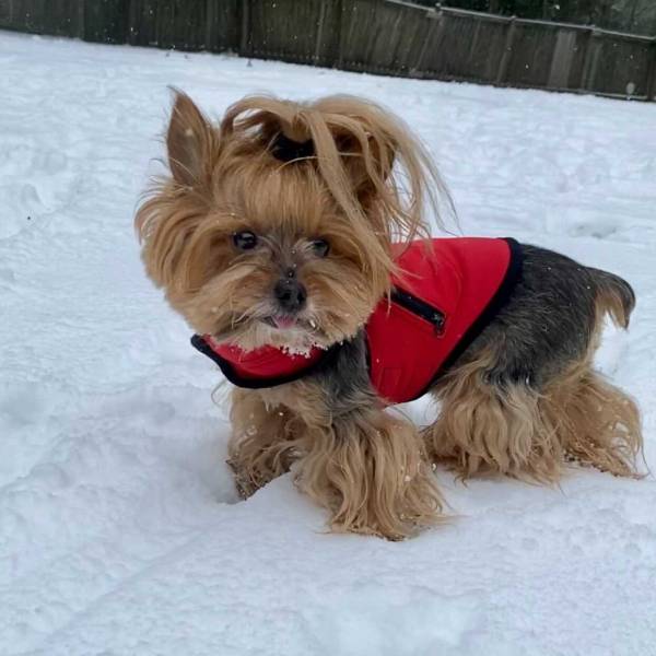 Waterproof Windproof Coat