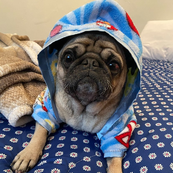 Peace & Love Handmade Ultra Plush Fleece Robe - Blue