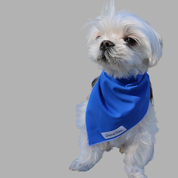 Cooling with UPF50+ Bandana - Royal Blue