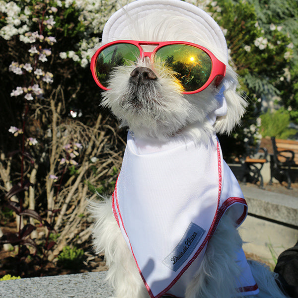 Cooling with UPF50+ Bandana - White Sand