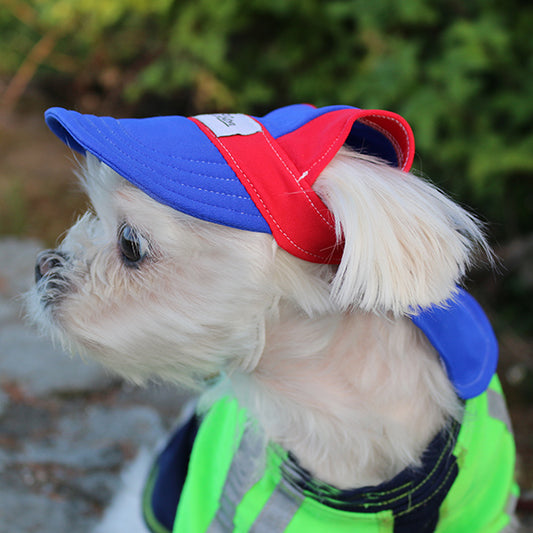 Cooling Dog Hat with UPF50+ - Royal Blast
