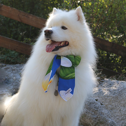 Cooling Neck Tie – Blue Island